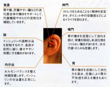施術イメージ
